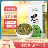 綠豆真空裝新鮮農家綠豆糧油顆粒飽滿肉多皮薄五谷雜糧批發(fā)500g
