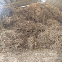 露藤草業(yè)大量收購(gòu)豆秸秸稈 花生秧秸稈