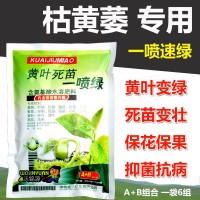 一噴綠微量元素水溶肥黃葉小葉卷葉?；ū９麡涫卟送ㄓ萌~面肥
