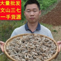 大麥文山三七 專批發(fā)云南文山三七頭田七 三七粉云南文山產(chǎn)地藥材