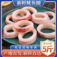 社區(qū)團(tuán)購(gòu)專供新鮮魷魚(yú)圈現(xiàn)切水產(chǎn)大魷魚(yú)冷凍批發(fā)八爪魚(yú)海捕特產(chǎn)品