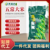 農(nóng)場熱銷五常大米10斤裝 有機種植自產(chǎn)稻花香2號 大米5kg批發(fā)