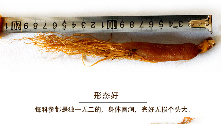 紅參整支巴巴_05