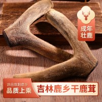干鹿茸吉林鹿鄉(xiāng)特產(chǎn)泡酒煲湯整枝鹿茸批發(fā)銷(xiāo)售量大從優(yōu)批發(fā)干鹿茸