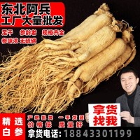 吉林長(zhǎng)白山人參5噸生曬參過(guò)檢五年低農(nóng)殘白參東北特產(chǎn)干人參批發(fā)
