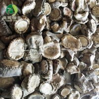 [益健]梅花鹿 鹿茸 可切連刀當(dāng)年精壯梅花鹿 整枝 鹿場(chǎng)直銷(xiāo)