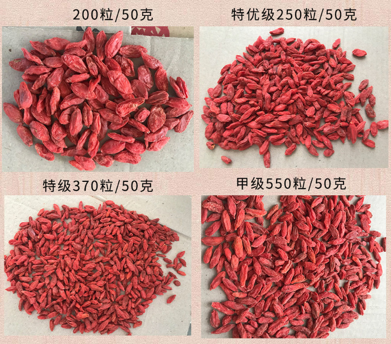 紅枸杞詳情