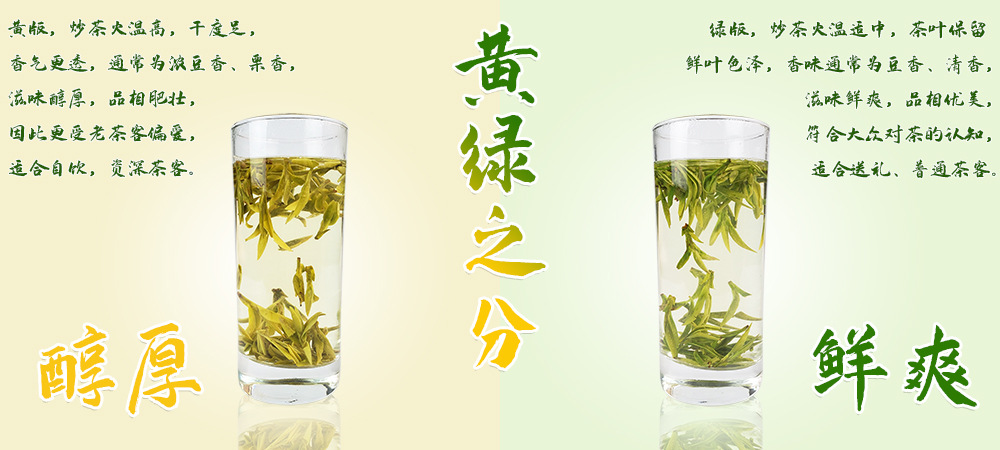 黃綠之分2
