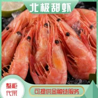 億九合 冰島進(jìn)口 北極甜蝦 肉質(zhì)新鮮肥美 熟凍 解凍即食 批發(fā)  價格面議