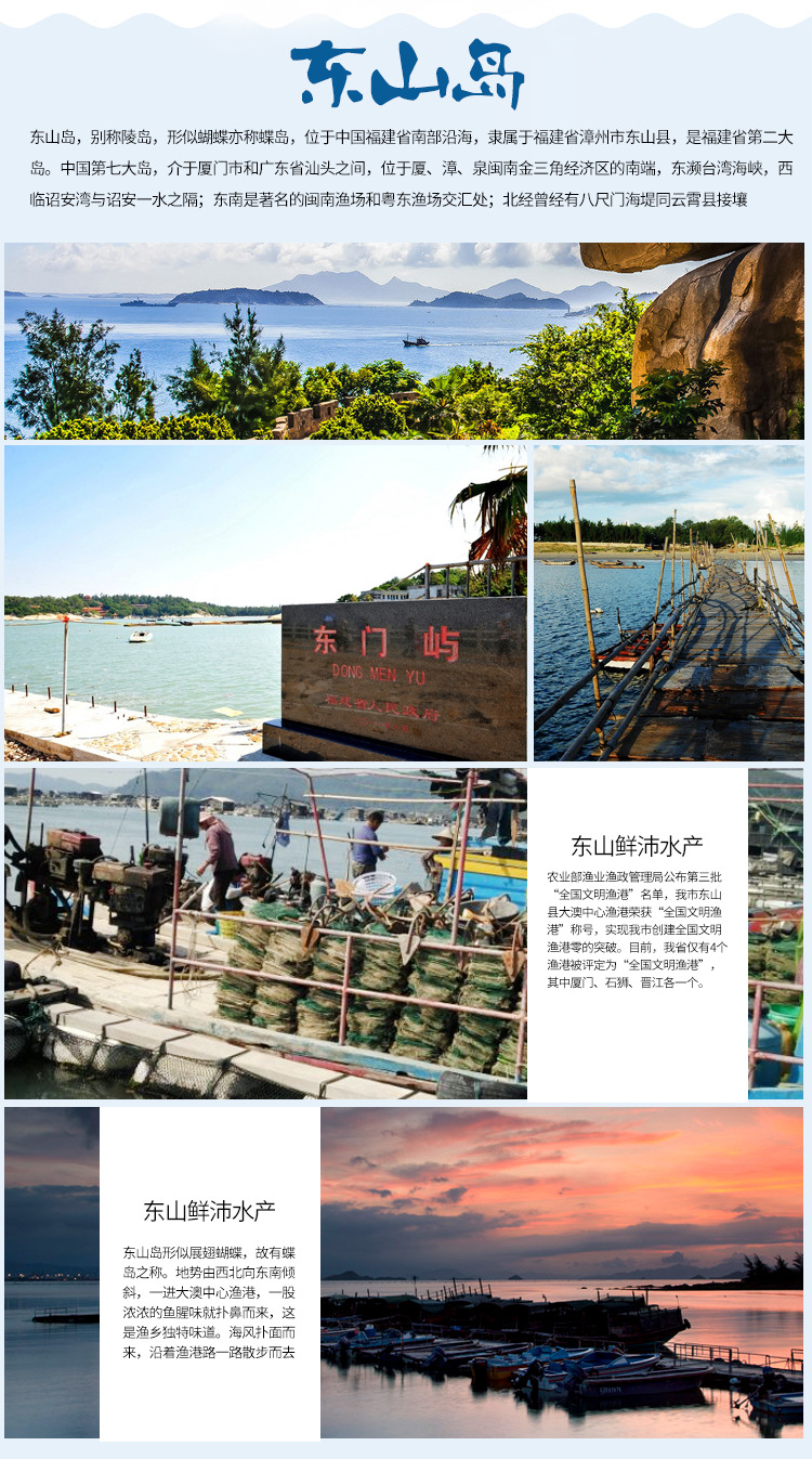 海參_08