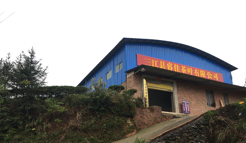 新 大門圖從下拍 460