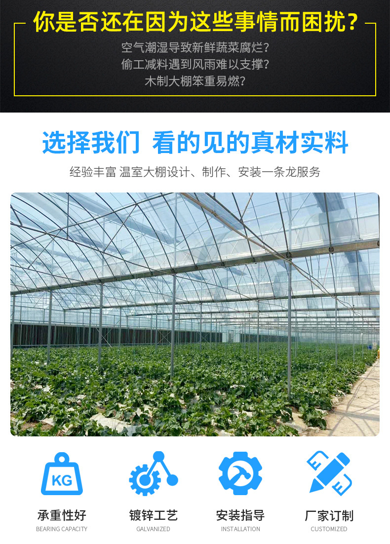 連棟大棚詳情_02.jpg
