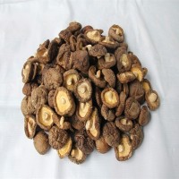 遠安特產(chǎn)楚蕈500g散裝新貨肉厚鮮嫩冬菇100斤基地直批