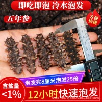 大連淡干純無(wú)鹽冷水速發(fā)海參五年參干參散裝送領(lǐng)導(dǎo)長(zhǎng)輩實(shí)用禮品