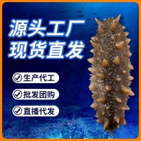 【包郵】工廠(chǎng)現(xiàn)貨不掛冰Q彈鮮食海參500g遼刺參大連即食海參批發(fā)