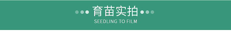 內(nèi)頁(yè)2_11.jpg
