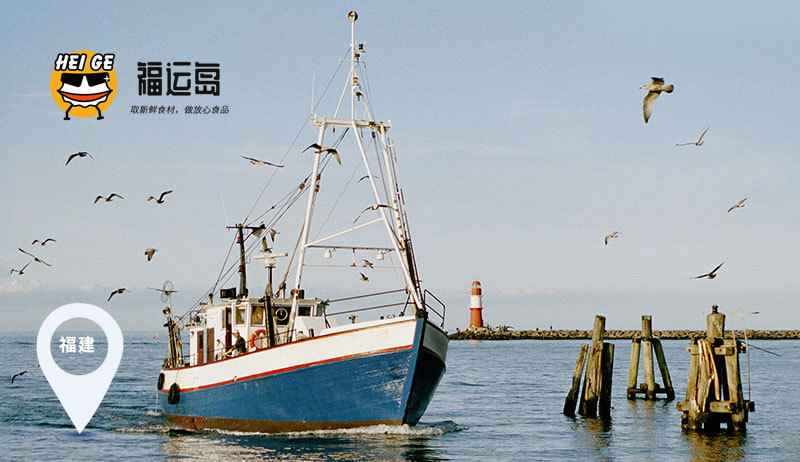 福建刺參即食海參