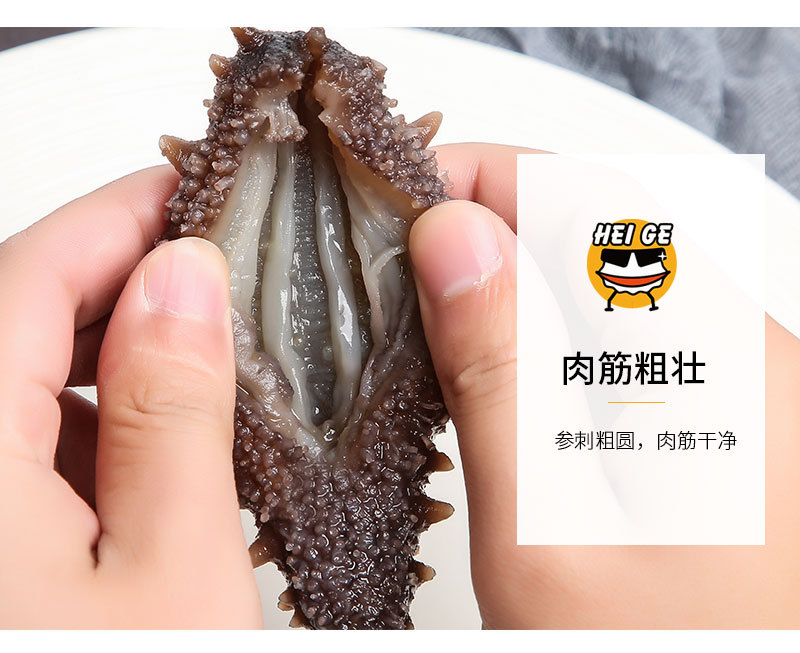 福建刺參