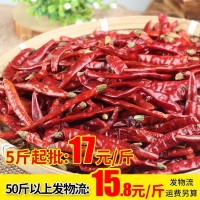 印度魔鬼辣椒500g干貨干辣椒超辣特辣可打辣椒粉變態(tài)辣辣椒面批發(fā)
