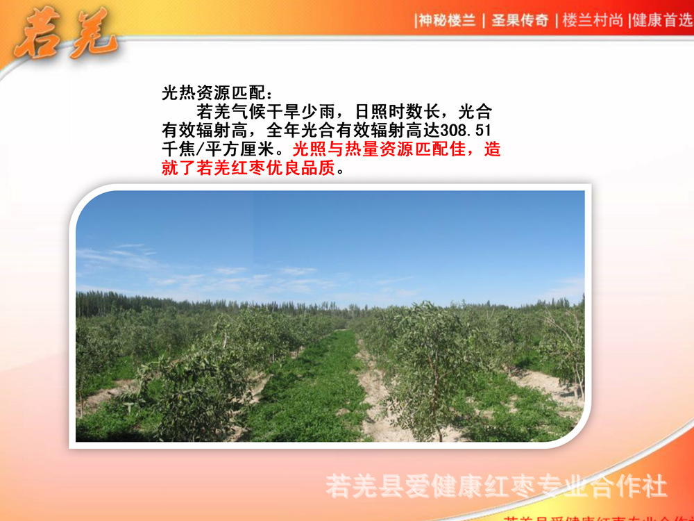 若羌紅棗宣傳_07.jpg