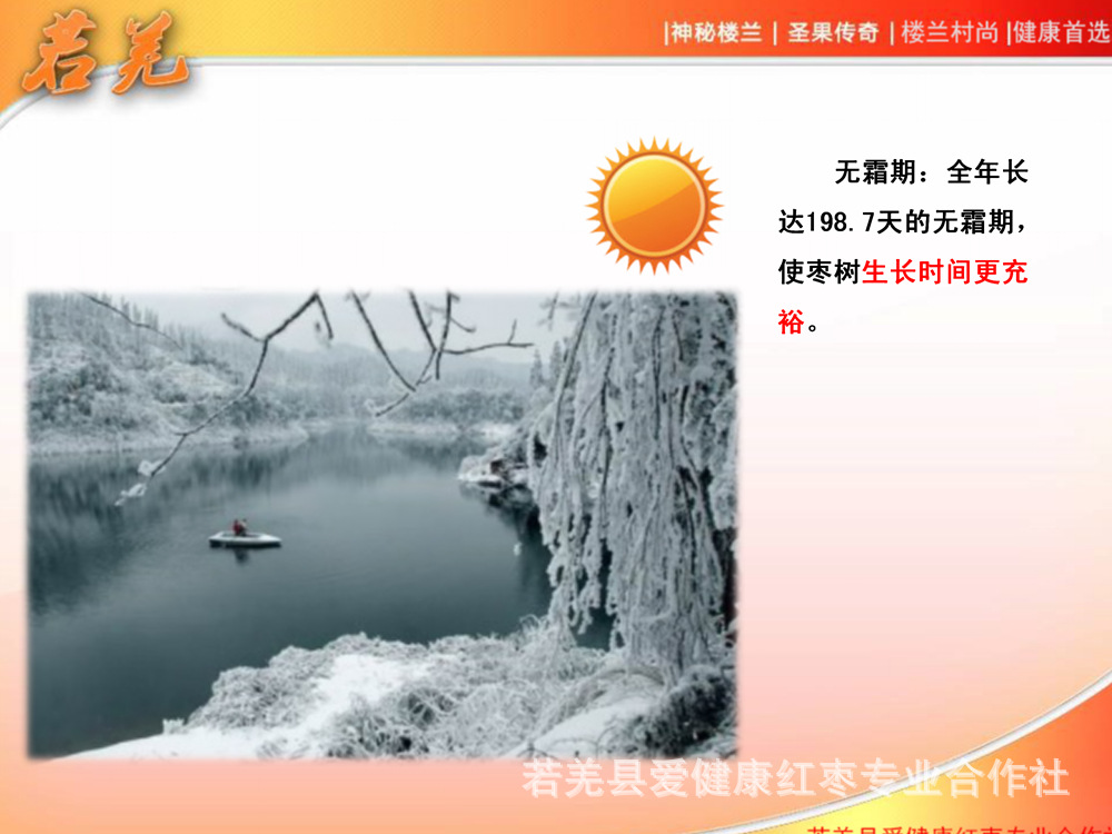 若羌紅棗宣傳_05.jpg