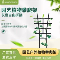 植物支撐架塑料爬藤花架子大小號塑料藤蔓攀爬架園林網格固定花架