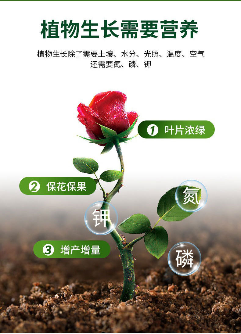 營(yíng)養(yǎng)液詳情_18.jpg