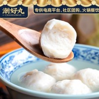 墨魚(yú)丸美食手打花枝丸特產(chǎn)關(guān)東煮燒烤火鍋食材潮汕特產(chǎn)廠家批發(fā)