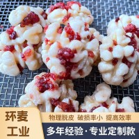 中小型核桃仁去皮機(jī) 核桃仁加工去內(nèi)皮設(shè)備 不銹鋼滾筒去皮清洗機(jī)