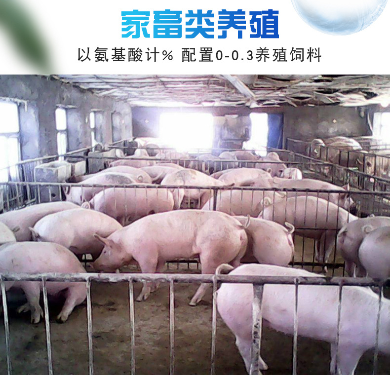 蘇氨酸詳情 (5).jpg