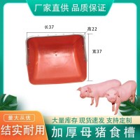 新型母豬塑料食槽加厚鋼板母豬料槽盆定位欄產床豬用食槽獸用食槽