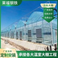 廠家連棟大棚塑料薄膜連棟溫室大棚安裝瓜果蔬菜連體溫室大棚安裝