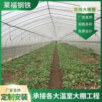 設(shè)計溫室大棚花卉蔬菜大棚單體養(yǎng)殖大棚骨架農(nóng)業(yè)種植蔬菜大棚廠家